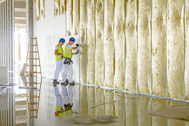 Best Specialized Insulation Services in Leonardo, NJ